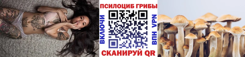 Галлюциногенные грибы Magic Shrooms  KRAKEN зеркало  Красногорск 